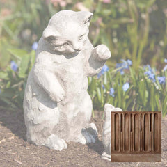 Campania Playful Kitten