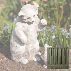 Campania Playful Kitten
