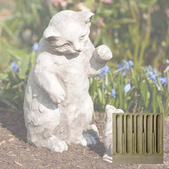 Campania Playful Kitten
