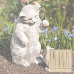 Campania Playful Kitten
