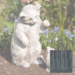 Campania Playful Kitten
