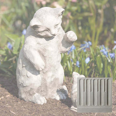 Campania Playful Kitten
