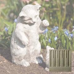Campania Playful Kitten