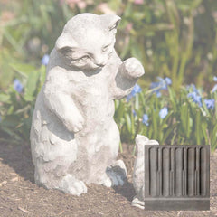 Campania Playful Kitten