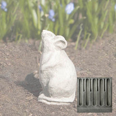 Campania Mousie