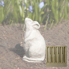 Campania Mousie