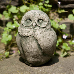 Campania Baby Barn Owl