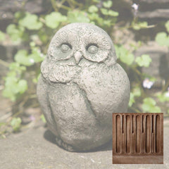 Campania Baby Barn Owl