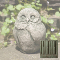 Campania Baby Barn Owl