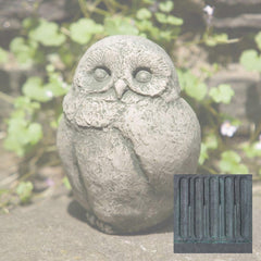 Campania Baby Barn Owl