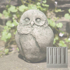 Campania Baby Barn Owl