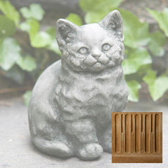 Campania Kitty