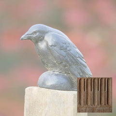 Campania Small Raven