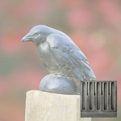 Campania Small Raven