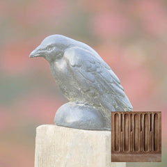 Campania Small Raven