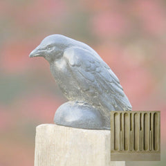Campania Small Raven
