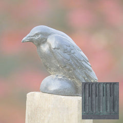 Campania Small Raven