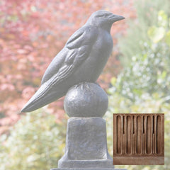 Campania Raven