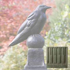 Campania Raven