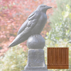 Campania Raven