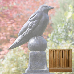 Campania Raven