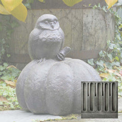 Campania Owl on Pumpkin
