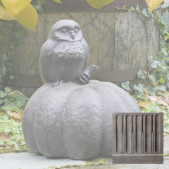 Campania Owl on Pumpkin