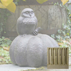 Campania Owl on Pumpkin