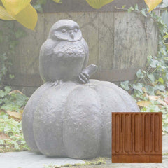 Campania Owl on Pumpkin