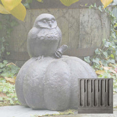 Campania Owl on Pumpkin