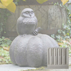 Campania Owl on Pumpkin