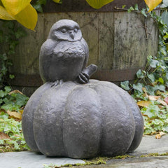 Campania Owl on Pumpkin