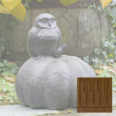 Campania Owl on Pumpkin