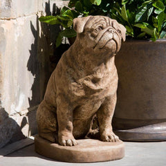 Campania Mugsy