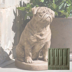 Campania Mugsy