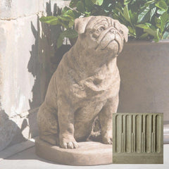 Campania Mugsy