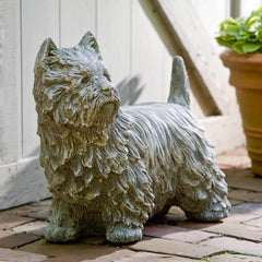 Campania Westie