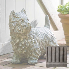 Campania Westie