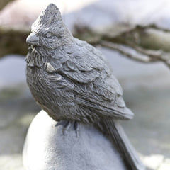 Campania Cardinal