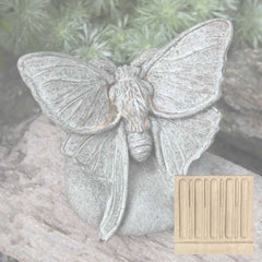 Campania Lunar Moth