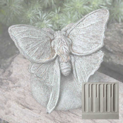 Campania Lunar Moth