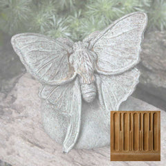 Campania Lunar Moth