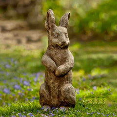 Campania Father Rabbit