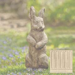 Campania Father Rabbit