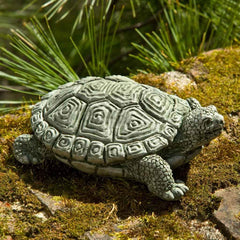 Campania My Pet Turtle