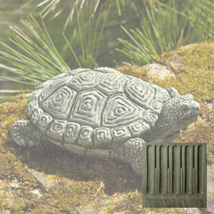 Campania My Pet Turtle