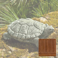 Campania My Pet Turtle