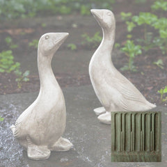 Campania Kate's Goose