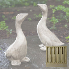 Campania Kate's Goose