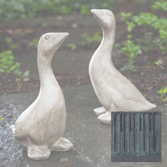 Campania Kate's Goose